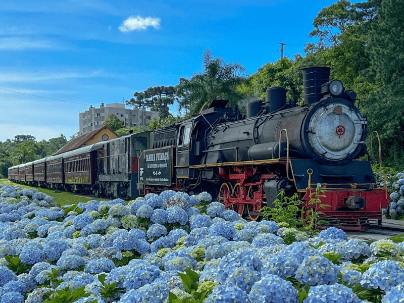 Tour Uva e Vinho com Maria Fumaça